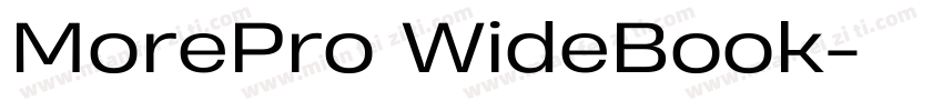 MorePro WideBook字体转换